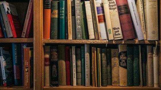 will-van-wingerden-dsvJgiBJTOs-unsplash